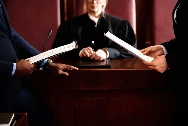 Procedimiento judicial